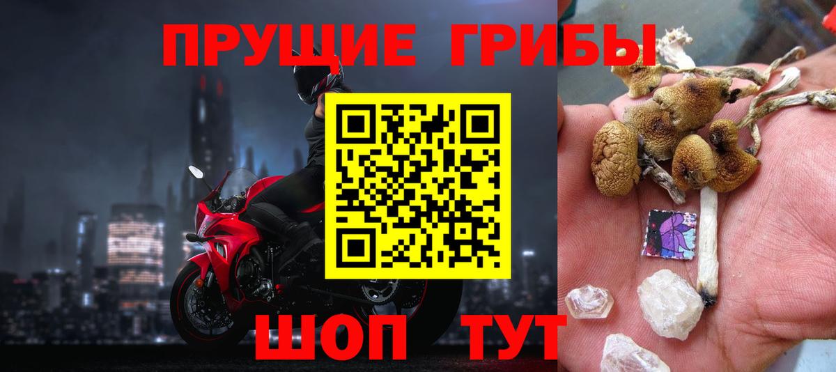 Псилоцибиновые грибы GOLDEN TEACHER Заводоуковск