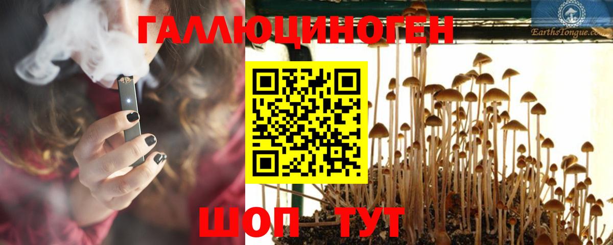 Галлюциногенные грибы Psilocybe  Вход с VPN  Заводоуковск 