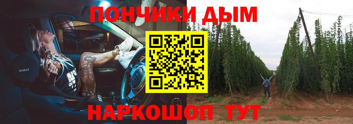 Бошки марихуана SATIVA & INDICA  Вход с VPN  Шишки марихуана Amnesia  Заводоуковск  Марихуана план 